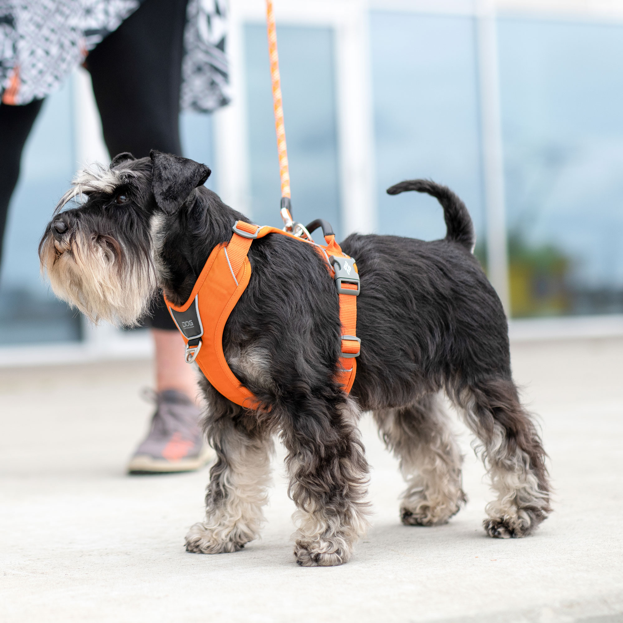 DOG COPENHAGEN COMFORT WALK PRO Lサイズ ハーネス ドッグコペンハーゲン DOG Copenhagen コンフォート